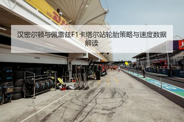 汉密尔顿与佩雷兹F1卡塔尔站轮胎策略与速度数据解读（6686sports）